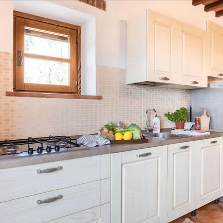 Olive House Tuscany - Zona Pisa กาลชี ภายนอก รูปภาพ