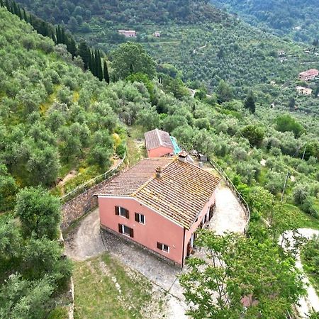 Olive House Tuscany - Zona Pisa กาลชี ภายนอก รูปภาพ