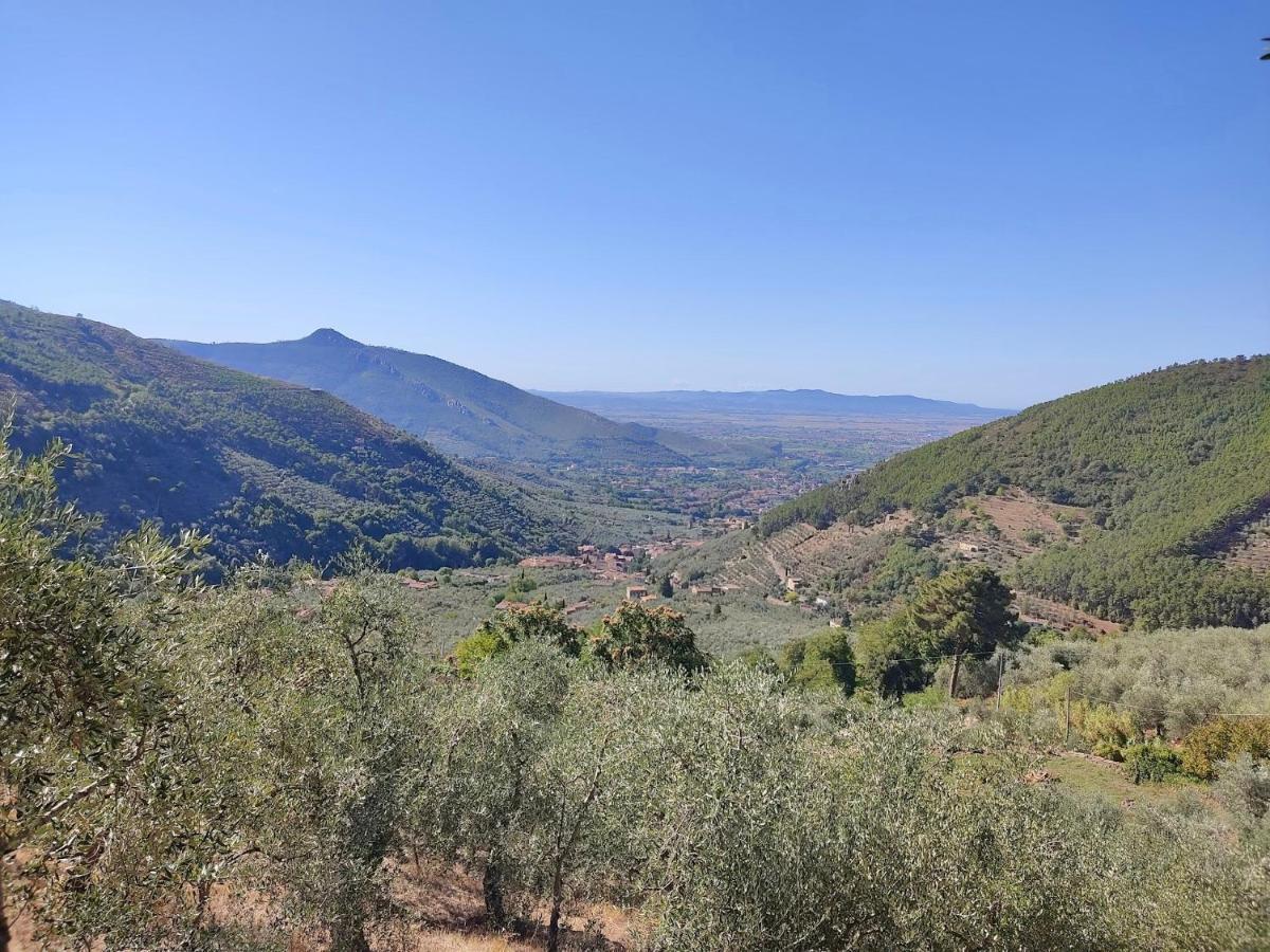 Olive House Tuscany - Zona Pisa กาลชี ภายนอก รูปภาพ