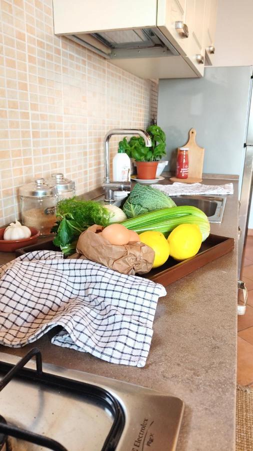 Olive House Tuscany - Zona Pisa กาลชี ภายนอก รูปภาพ
