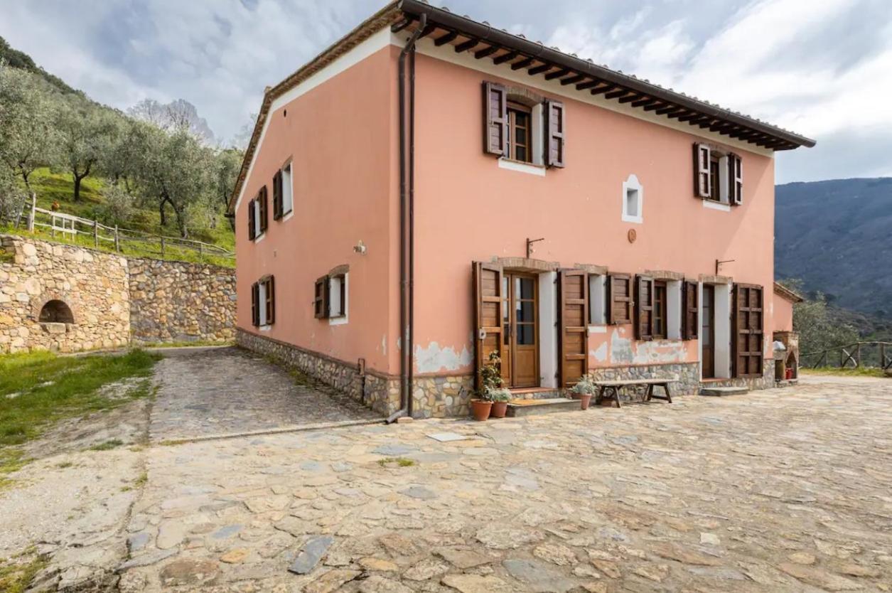 Olive House Tuscany - Zona Pisa กาลชี ภายนอก รูปภาพ
