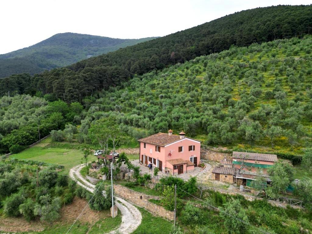 Olive House Tuscany - Zona Pisa กาลชี ภายนอก รูปภาพ